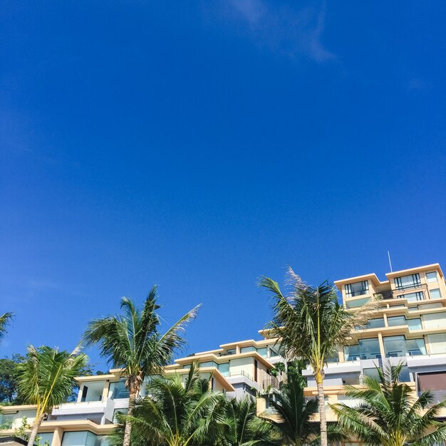 Large hotel and palm trees on the beach in Thailand.