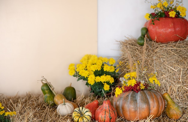 Grandi zucche tra paglia e fiori, stile rustico, raccolto autunnale, copia spazio.