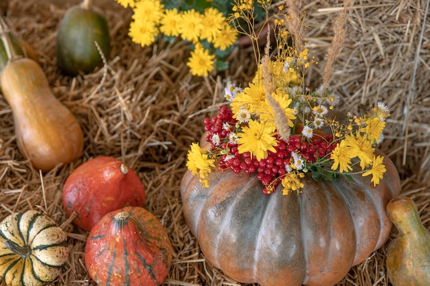 Large pumpkins among straw and flowers, rustic style, autumn harvest.