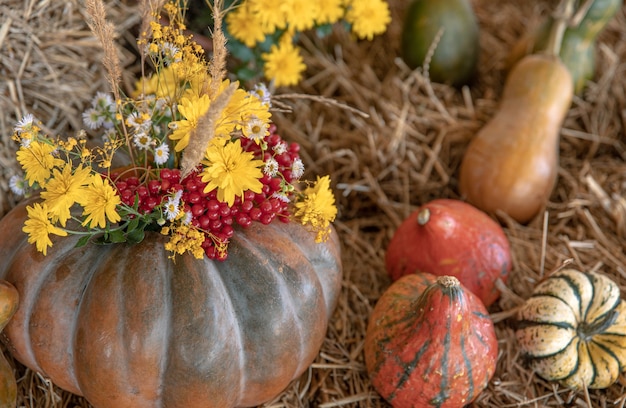 Large pumpkins among straw and flowers, rustic style, autumn harvest.