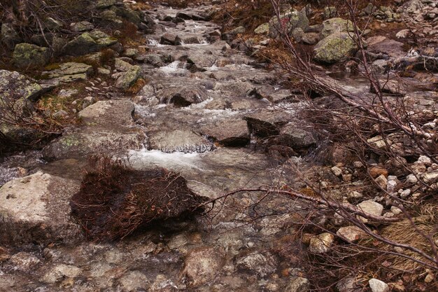 Large rocks lie on the river somewhere in the mountains 