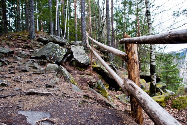 Large stones of rocks with wooden fence at wet forest in Carpathian mountains