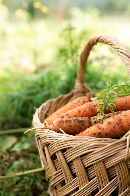 Free photo lateral view basket full with carrots