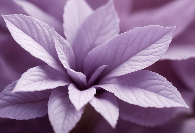 Lavender colored background with flower texture