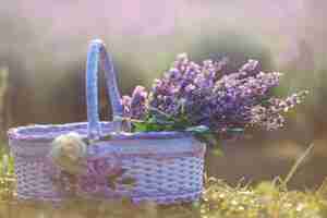 Free photo lavender flowers in wonderful basket