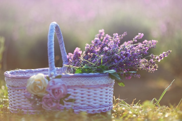 素晴らしいバスケットのラベンダーの花