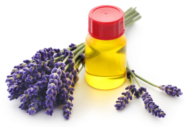 Lavender oil with flower over white background