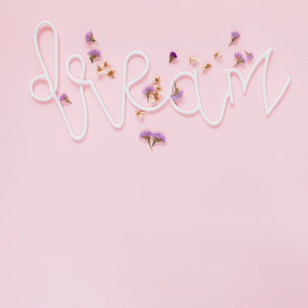 Lavender and white flowers on dream text over the pink background