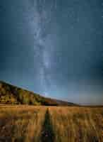 Foto gratuita campo di prato sotto il cielo grigio durante la notte