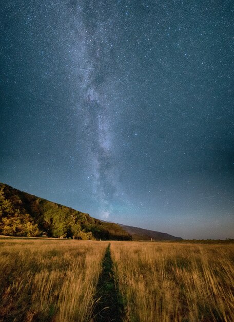 夜の灰色の空の下の芝生のフィールド