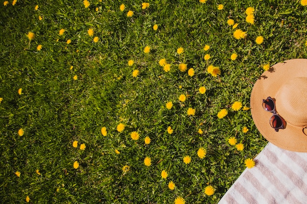 Free photo lawn with yellow flowers and summer hat