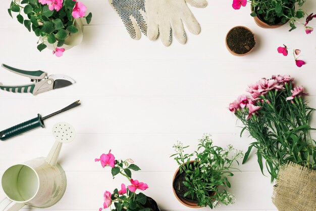 layout of flowers and supplies for gardening