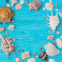 Free photo layout of seashells on board
