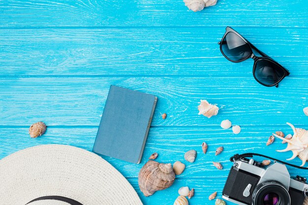 Layout of seashells near retro camera and sunglasses with hat