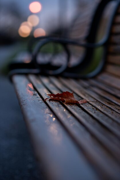 A leaf on a bench on a cold wet Autumn day