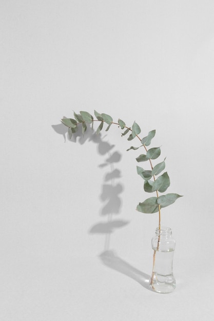 Free photo leaf branch in vase on table