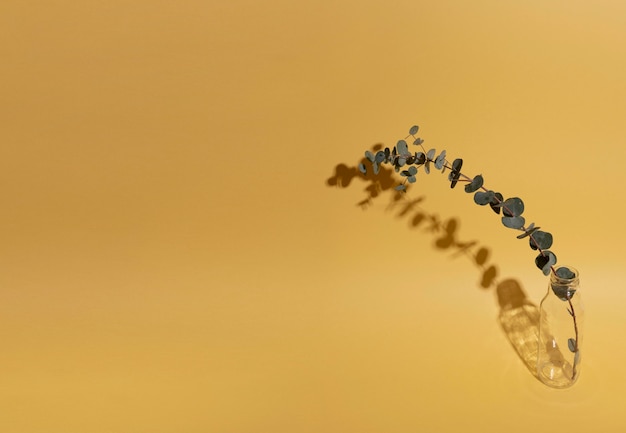 影と花瓶の葉の枝