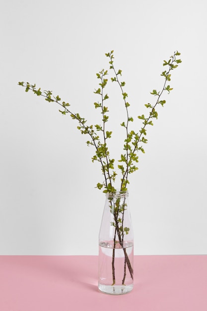 Leaf branches in vase on table