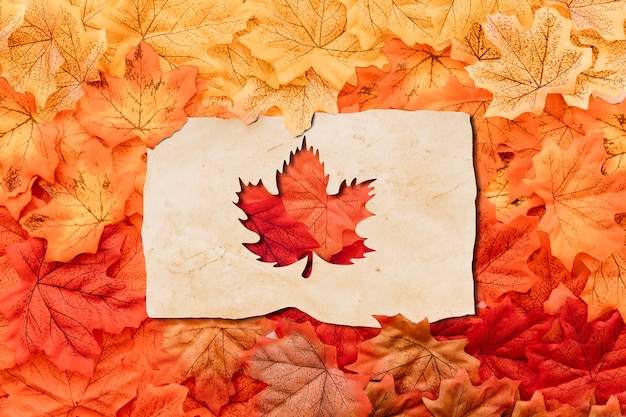Бесплатное фото Осенний сезон в форме листа над видом