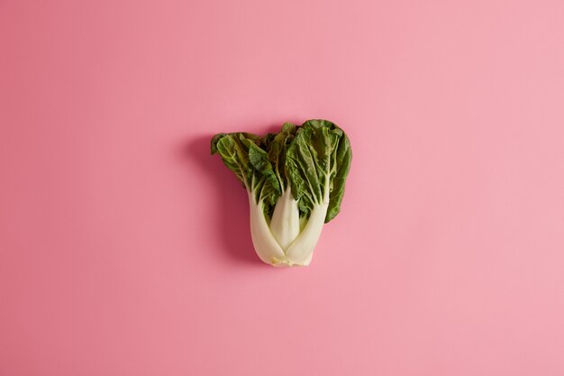 あなたの健康的な食事の一部としての葉物野菜。チンゲン菜、白菜はスープによく合い、炒め物には脳の健康、免疫力、ガンの予防に役立つ栄養素が含まれています