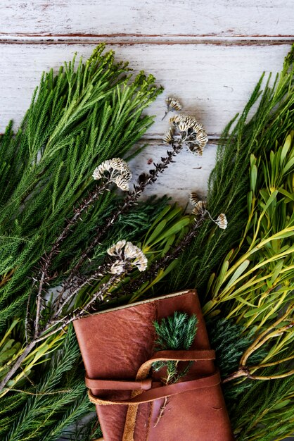 1. Ель обыкновенная (Picea abies)