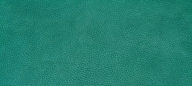 Leather green texture