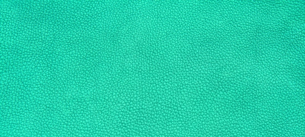 Leather green texture