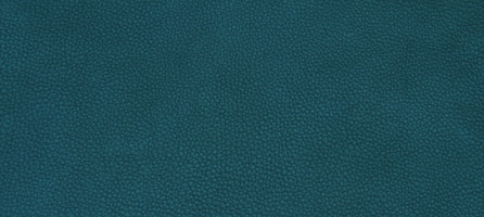 Leather green texture