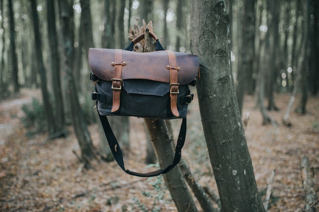 Leather hiking bag hanging on a branch of a tree in a forest