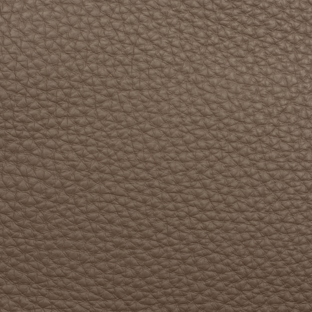 Free Photo leather macro shot