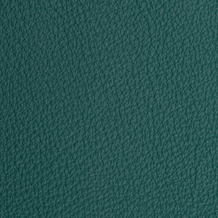 Free Photo leather macro shot