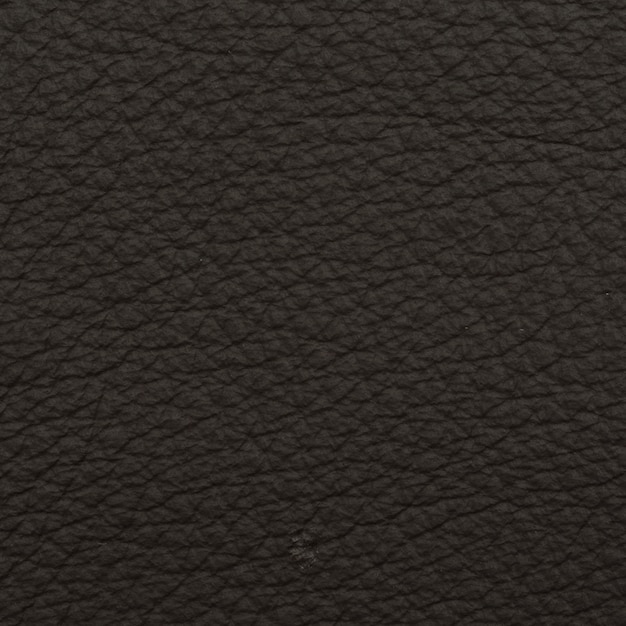 Free Photo leather macro shot