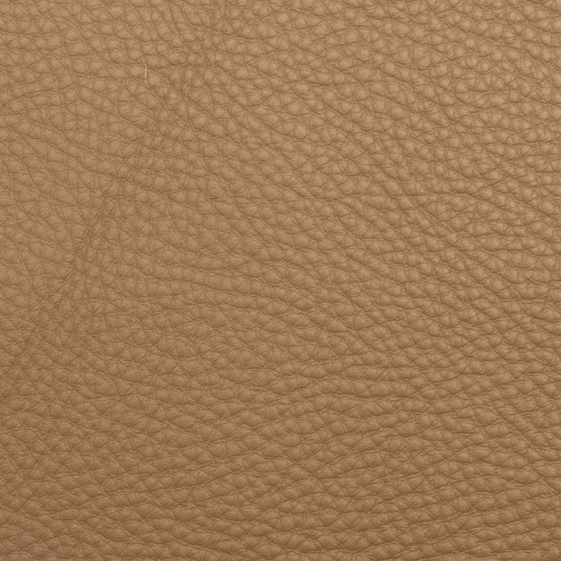 Free photo leather macro shot