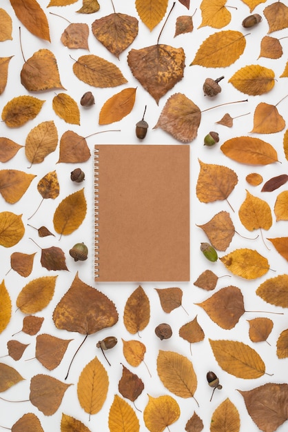 Leaves and acorns around notebook