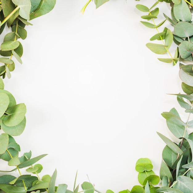 Leaves are arranged like frame on white background