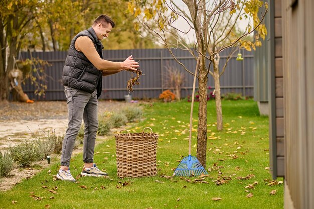 葉、バスケット。秋の日に庭の緑の芝生の籐のバスケットに葉を振りかけるカメラに横に立って笑顔の若い大人の男