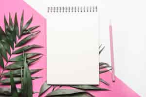 Free photo leaves; blank spiral notepad and pencil on dual background