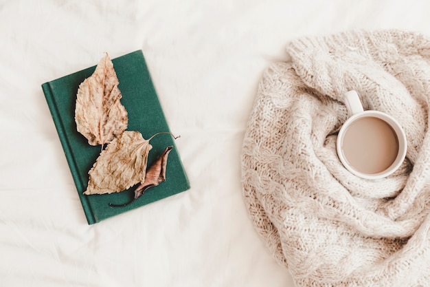 Leaves on book near hot drink in blanket 