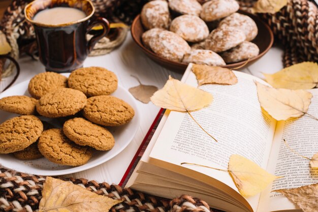 Leaves on book near snacks