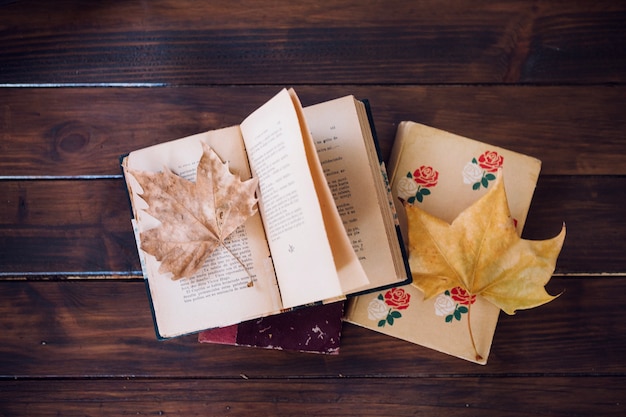 Free photo leaves on books