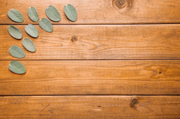 Free photo leaves on corner of tabletop