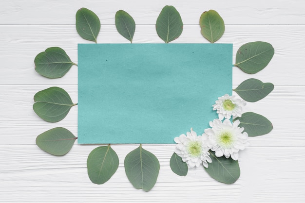 Leaves and flowers around turquoise paper