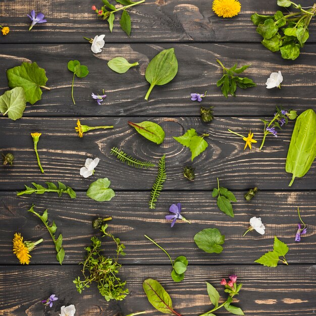 Leaves and flowers on wooden background textured