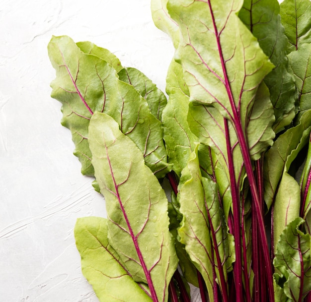 Leaves of fresh swiss chard