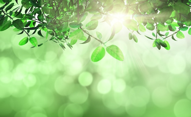 Leaves and grass against a defocussed background