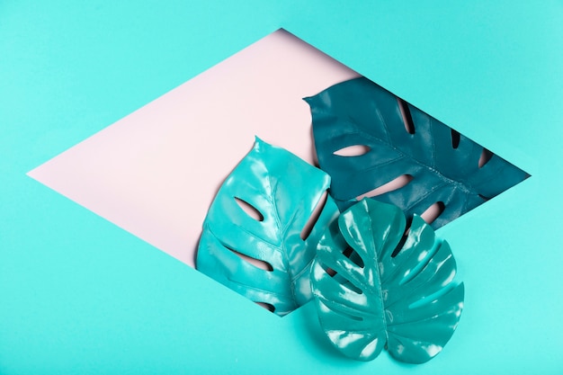 Free photo leaves inside hexagonal paper shape