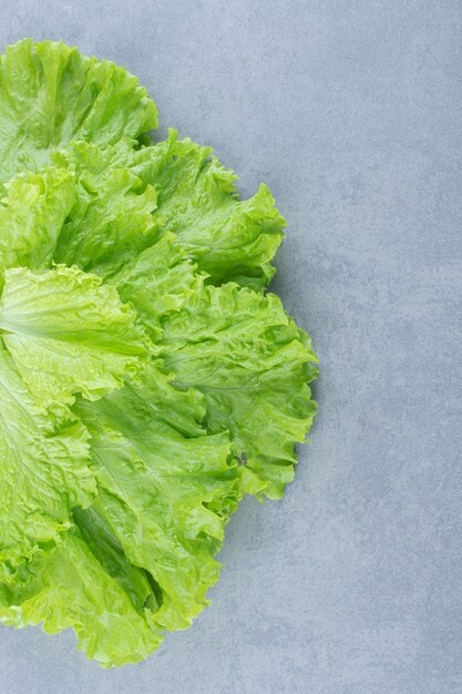 Leaves of lettuce on the grey background. 