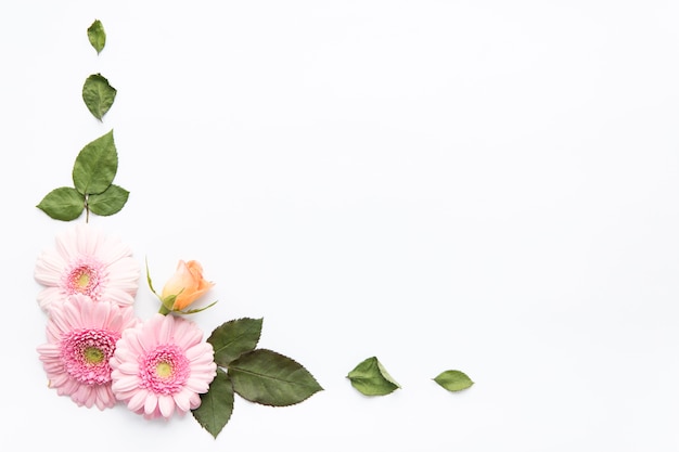 Leaves near daisies and rose bud