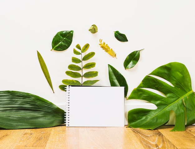 Free photo leaves near empty notebook