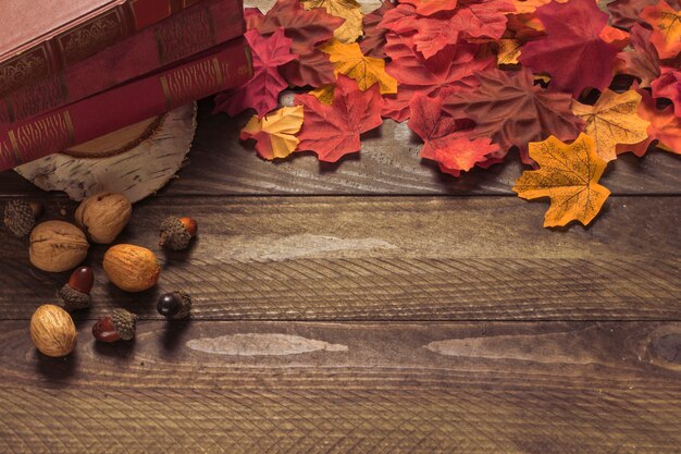 Leaves and nuts near books